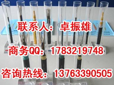 廣東廣州光纜采購(gòu)指南 GYXTW與GYTS等型號(hào)價(jià)格與供應(yīng)商全解析